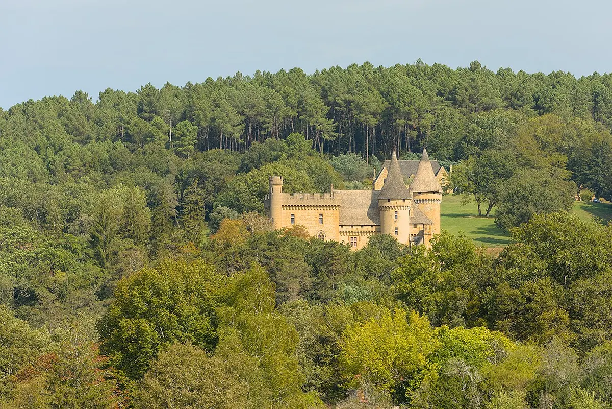 The Château de Puymartin and its towers standing alone among trees in the Dordogne