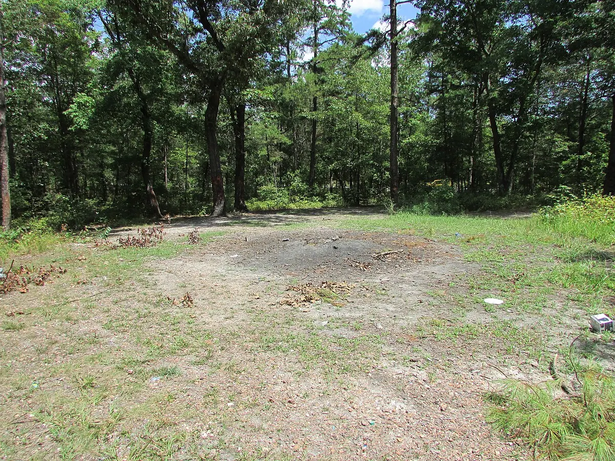 The Devil’s Tramping Ground near Siler City, North Carolina, photographed in August 2017