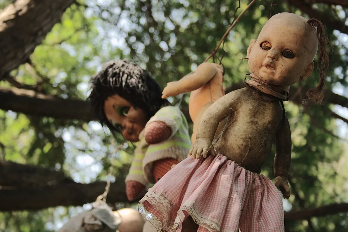Weathered dolls hanging from trees and a fence on the Island of the Dolls in Xochimilco